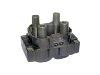 Zündspule Ignition Coil:60809606