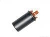 Bobina de encendido Ignition Coil:12 13 1 286 087