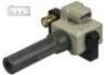 Ignition Coil:22433-AA418