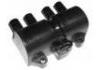 катушка зажигания Ignition Coil:1208010